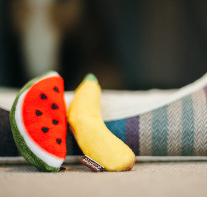 Feline Frenzy Tropical Fruits Cat Toy Set of 2